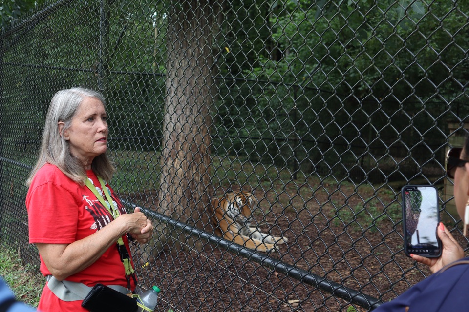 The Noah's Ark Sanctuary